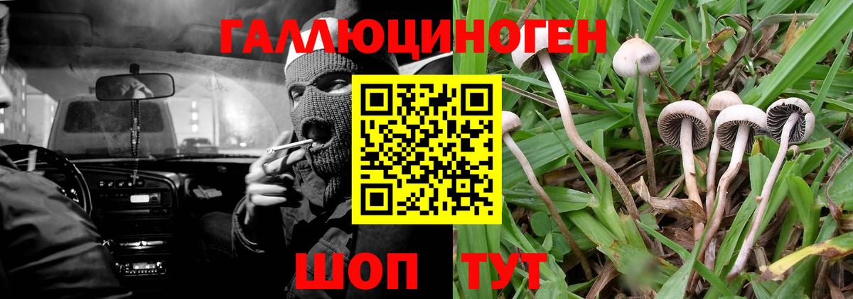 Галлюциногенные грибы ЛСД Знаменск